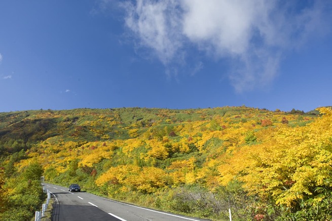 八幡平の紅葉の世界を走り抜けるドライブ