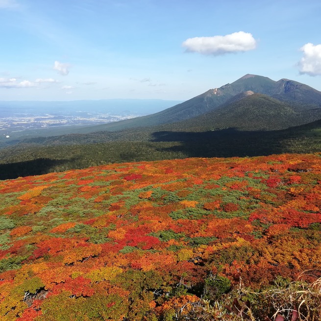 三ツ石山から岩手山を眺望