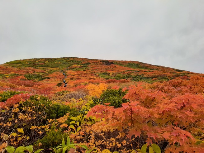 須川岳①