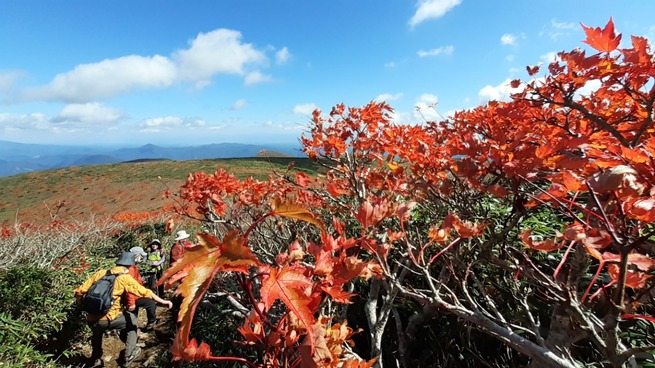 ２０２４・紅葉日本一！須川岳（栗駒山）日帰り登山ツアー5