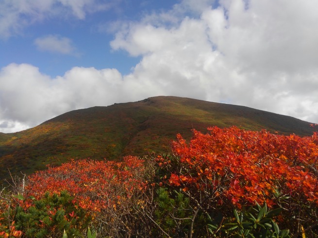 ２０２４・紅葉日本一！須川岳（栗駒山）日帰り登山ツアー6