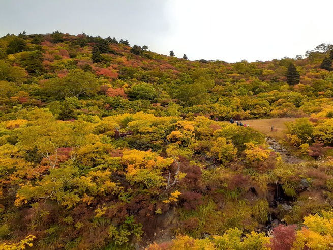 ２０２４・紅葉日本一！須川岳（栗駒山）日帰り登山ツアー8