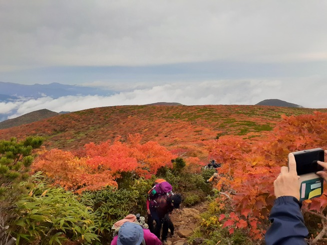 栗駒山③