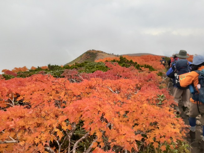 栗駒山　山頂付近