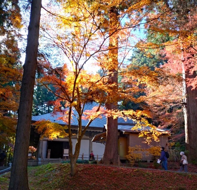 ④