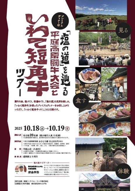 チラシ