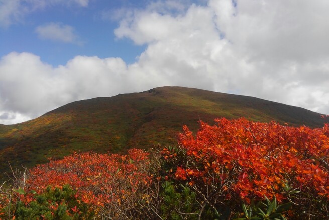 神の絨毯・紅葉日本一 須川岳(栗駒山)の日帰り登山