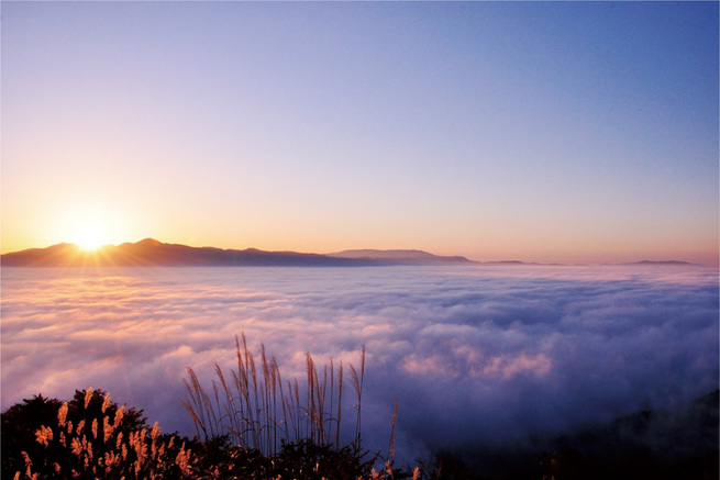 【予約受付開始】ガイドがご案内する絶景！雲海の中で楽しむ天空のモーニングコーヒーと遠野郷八幡宮参拝