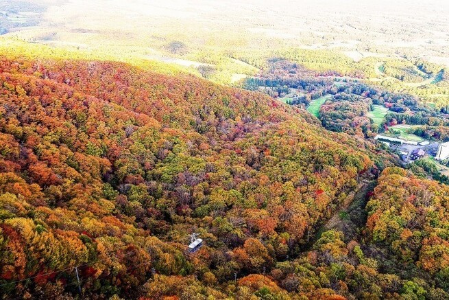 秋の絶景体験！！紅葉空中散歩＆オータムウォーク/紅葉早朝空中散歩