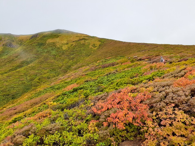 【催行決定】2024・紅葉日本一！須川岳（栗駒山）日帰り登山ツアー