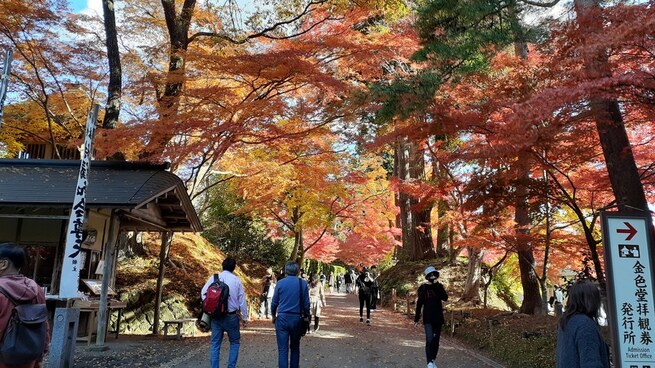 2024紅葉の平泉・芭蕉の道ツアー