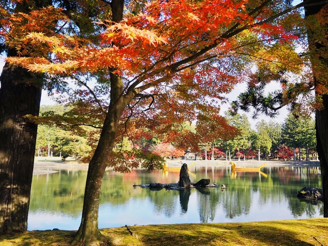 秋色に染まる世界遺産毛越寺