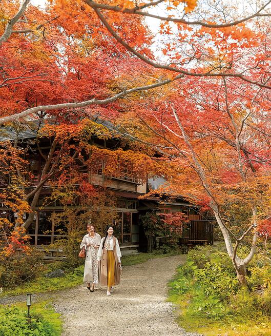 侍屋敷大松沢家