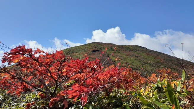 神の絨毯・紅葉日本一 須川岳（栗駒山）の登山