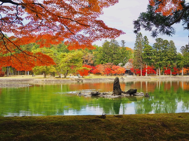 毛越寺の秋