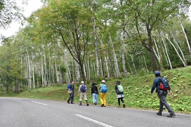 ヘルスツーリズム「久慈セラピー」