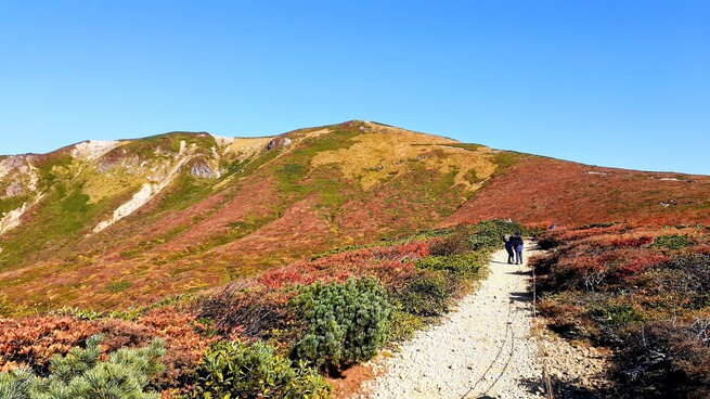 2025・紅葉日本一！栗駒山日帰り登山ツアー　参加者募集のお知らせ