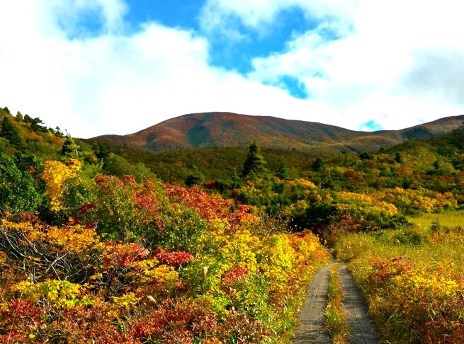 令和７年度・紅葉の須川岳(栗駒山)日帰り登山ツアー　参加者募集のお知らせ